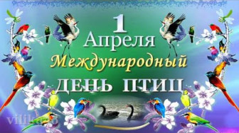 Международный День птиц.