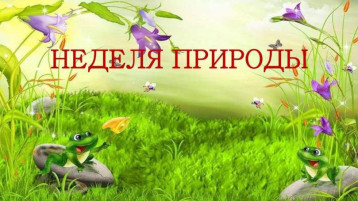 Природа и мы Природа и мы.