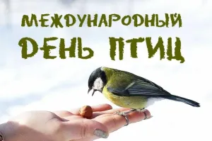 Наши пернатые друзья.